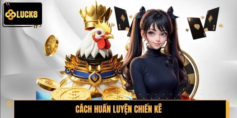 Cách huấn luyện chiến kê sở hữu đòn đá chuẩn nhất Cách huấn luyện chiến kê sở hữu đòn đá chuẩn nhất