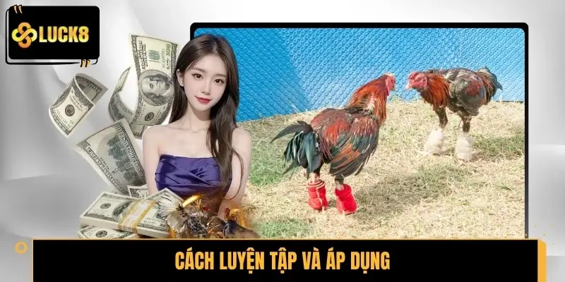 Cách luyện tập và áp dụng thế gà đá xạ hiệu quả