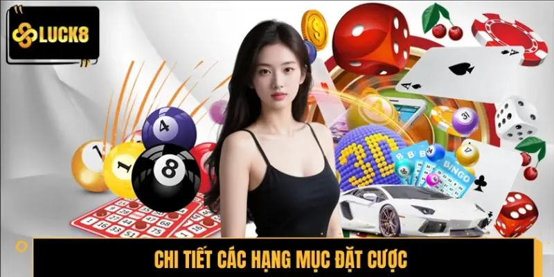 Chi tiết các hạng mục đặt cược trong xổ số Hà Nội VIP