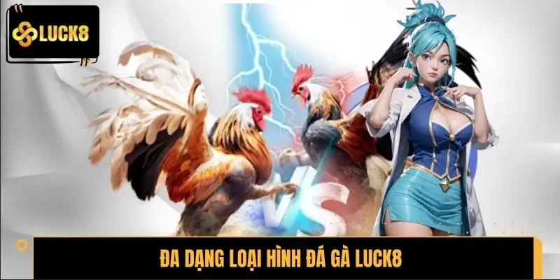 Đa dạng loại hình đá gà LUCK8 hấp dẫn người xem