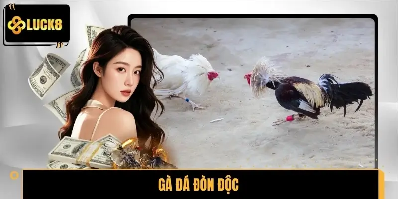 Gà Đá Đòn Độc - LUCK8 Hé Lộ Bí Quyết Tạo Lợi Thế Áp Đảo