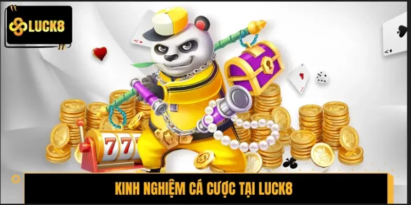 Kinh nghiệm cá cược tại LUCK8 an toàn, hiệu quả hơn