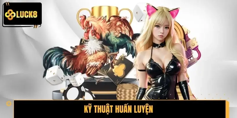Kỹ thuật huấn luyện giúp phát huy tối đa đòn đánh độc