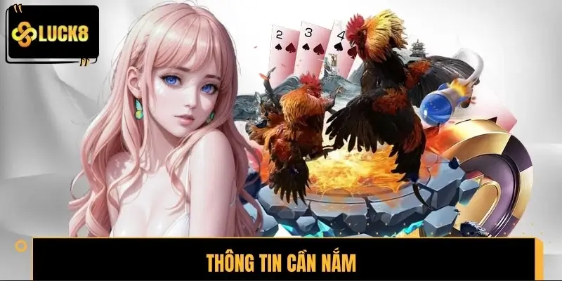 Thông tin cần nắm về đòn đá liên hoàn cước Thông tin cần nắm về đòn đá liên hoàn cước
