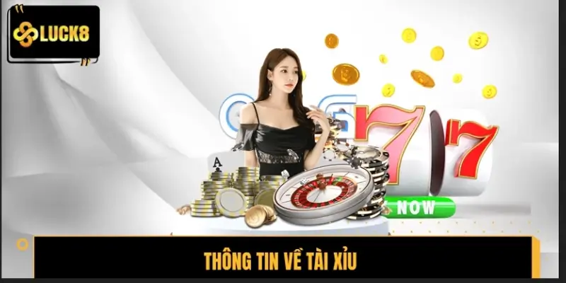 Thông tin thú vị về trò chơi kinh điển Tài Xỉu