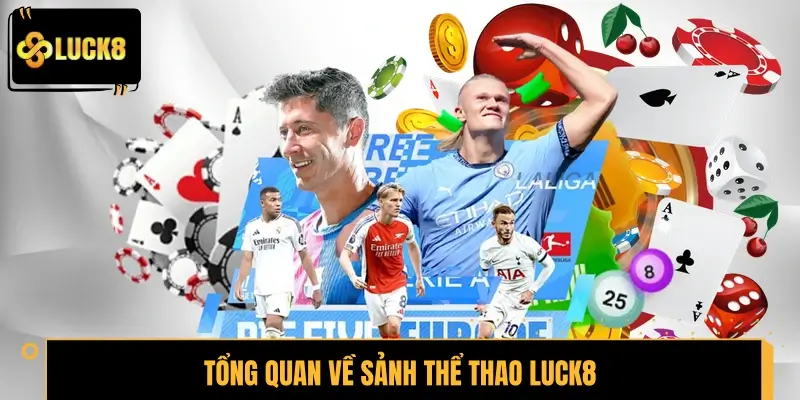 Tổng quan về sảnh thể thao LUCK8